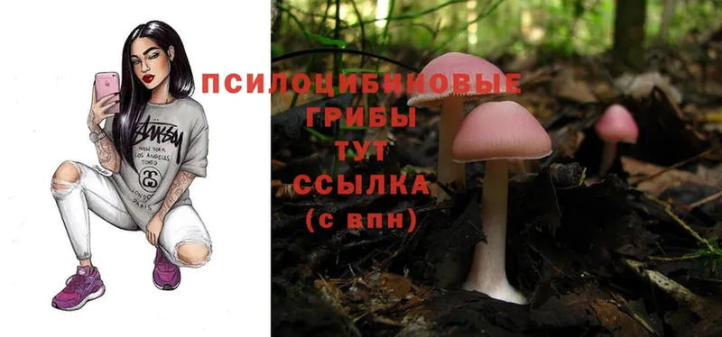 Псилоцибиновые грибы Magic Shrooms  Красный Сулин 